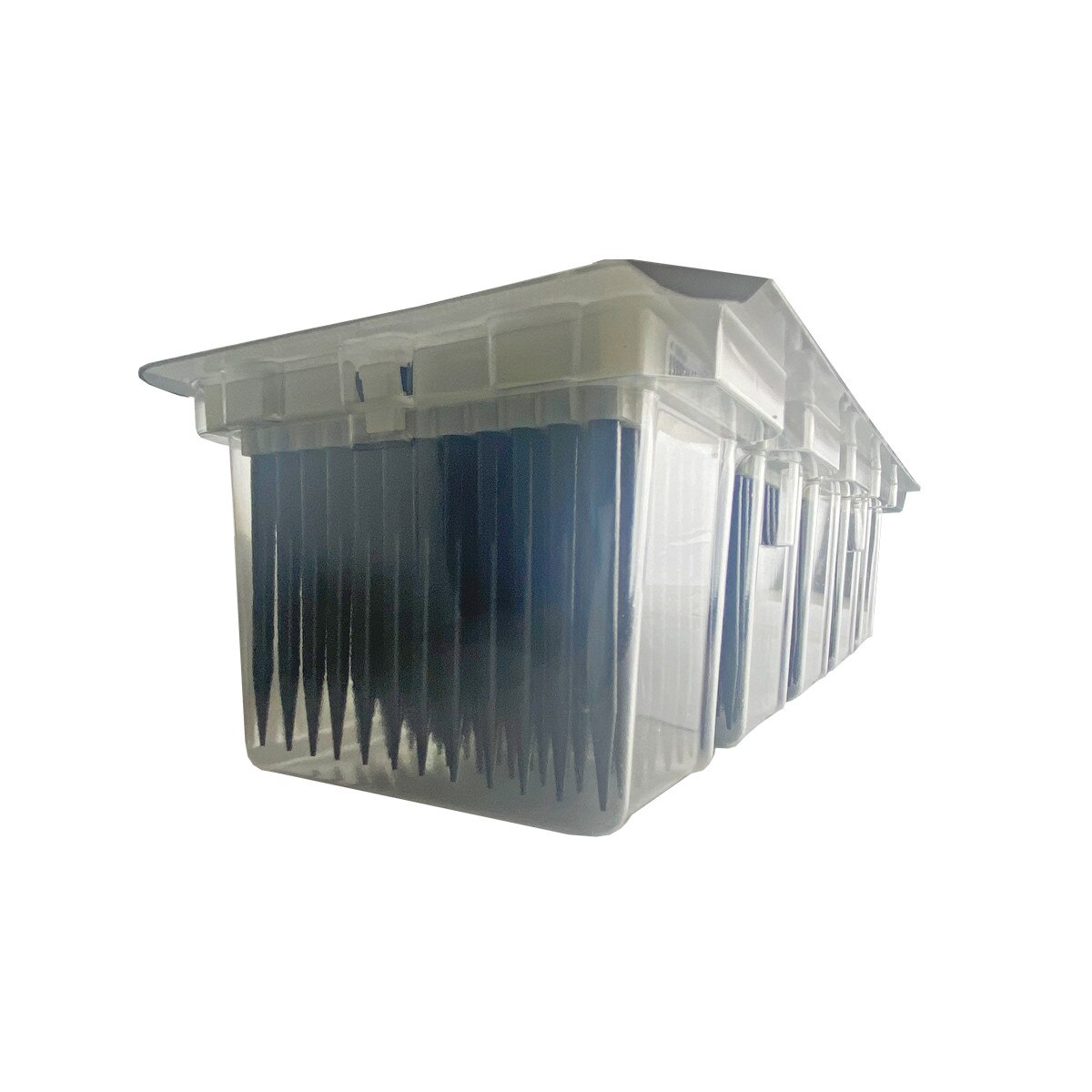 1000ul filter tips, end